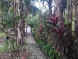 Amazon Lodge Varillal