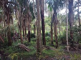 Amazon Lodge Varillal