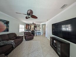 Shells -A Home - Very Special