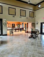 Shells -A Home - Very Special