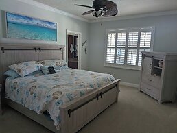 Shells -A Home - Very Special