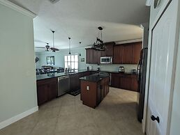 Shells -A Home - Very Special