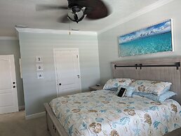 Shells -A Home - Very Special