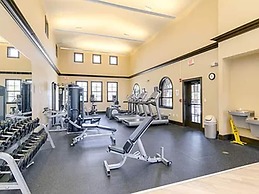 Shells -A Home - Very Special