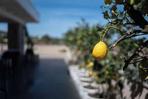 MIDDLE TOWN PALACE TROPEA
