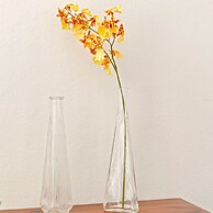 Eden Apt 2 Posti in Livorno