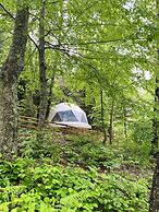 Ala Glamping