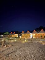 Desert Oasis Lodge in Wadi Rum