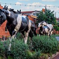 4 Queen Beds High Speed Wifi Private Parking