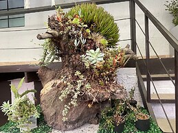 Súper Apartamento central Casa Colonial