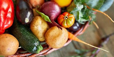 HOTEL LA VIGNE HAKUBA by Onko Chishin