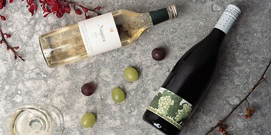 HOTEL LA VIGNE HAKUBA by Onko Chishin