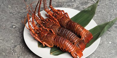 HOTEL LA VIGNE HAKUBA by Onko Chishin