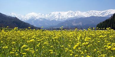HOTEL LA VIGNE HAKUBA by Onko Chishin
