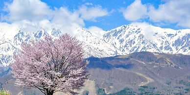 HOTEL LA VIGNE HAKUBA by Onko Chishin