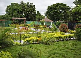 Falcon Jungle Resort