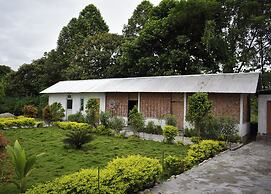 Falcon Jungle Resort