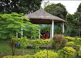 Falcon Jungle Resort