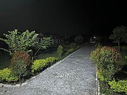 Falcon Jungle Resort