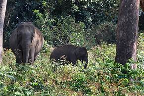 Thennal Jungle Camp Pvt Ltd