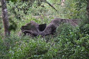 Thennal Jungle Camp Pvt Ltd
