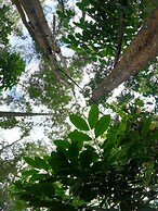 Thennal Jungle Camp Pvt Ltd