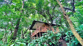 Thennal Jungle Camp Pvt Ltd