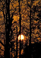 Thennal Jungle Camp Pvt Ltd