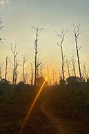 Thennal Jungle Camp Pvt Ltd