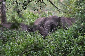 Thennal Jungle Camp Pvt Ltd