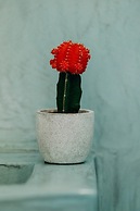 Panoramic Argyro's IO House with Jacuzzi