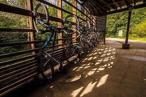 Happy Days Afan Forest