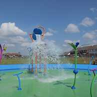 Happy Days Afan Forest