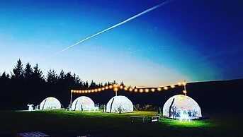 Happy Days Afan Forest