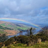 Happy Days Afan Forest