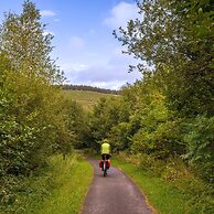 Happy Days Afan Forest