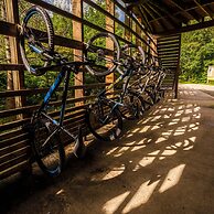 Happy Days Afan Forest