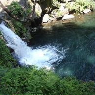 Happy Days Afan Forest