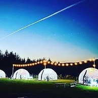 Happy Days Afan Forest