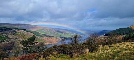 Happy Days Afan Forest