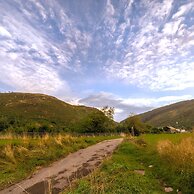 Happy Days Afan Forest