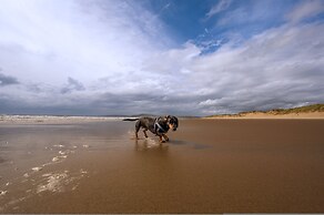 Happy Days Afan Forest