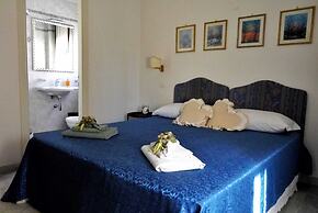 B&B Myosotis
