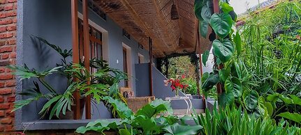 Little birds paradise