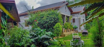 Little birds paradise