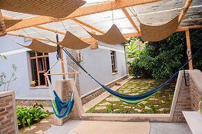 Little birds paradise