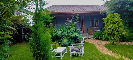 Little birds paradise