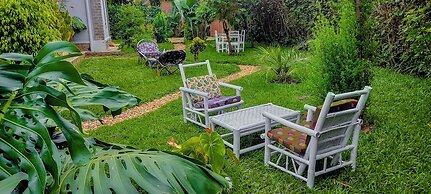 Little birds paradise