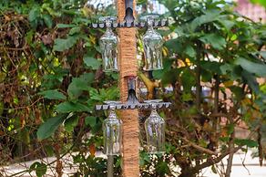 Little birds paradise