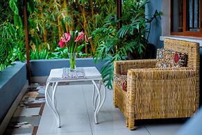 Little birds paradise